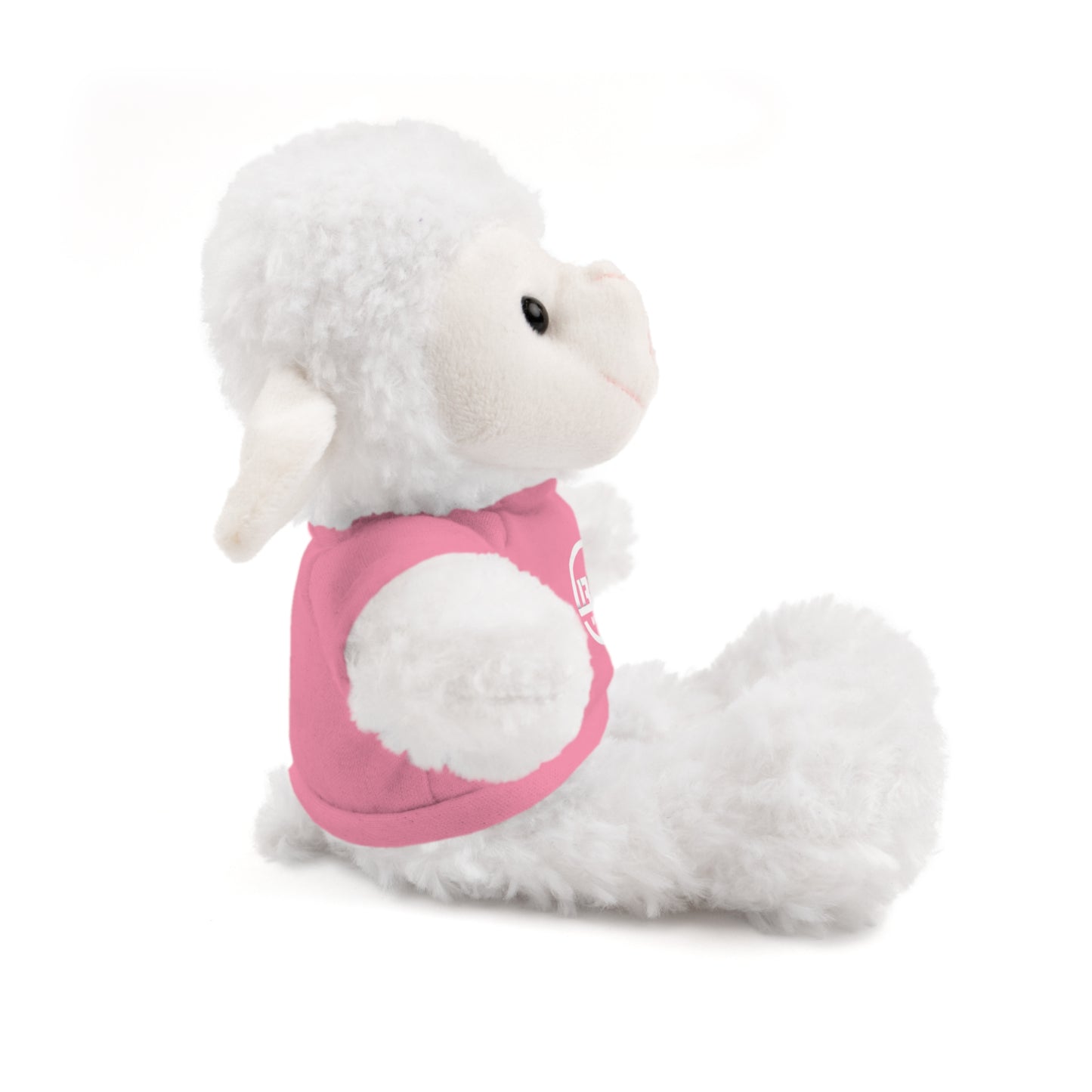 BEG Wrestling Stuffed Animals with Tee